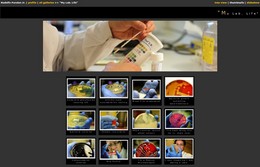 http://www.pbase.com/mediman30/ my lab life